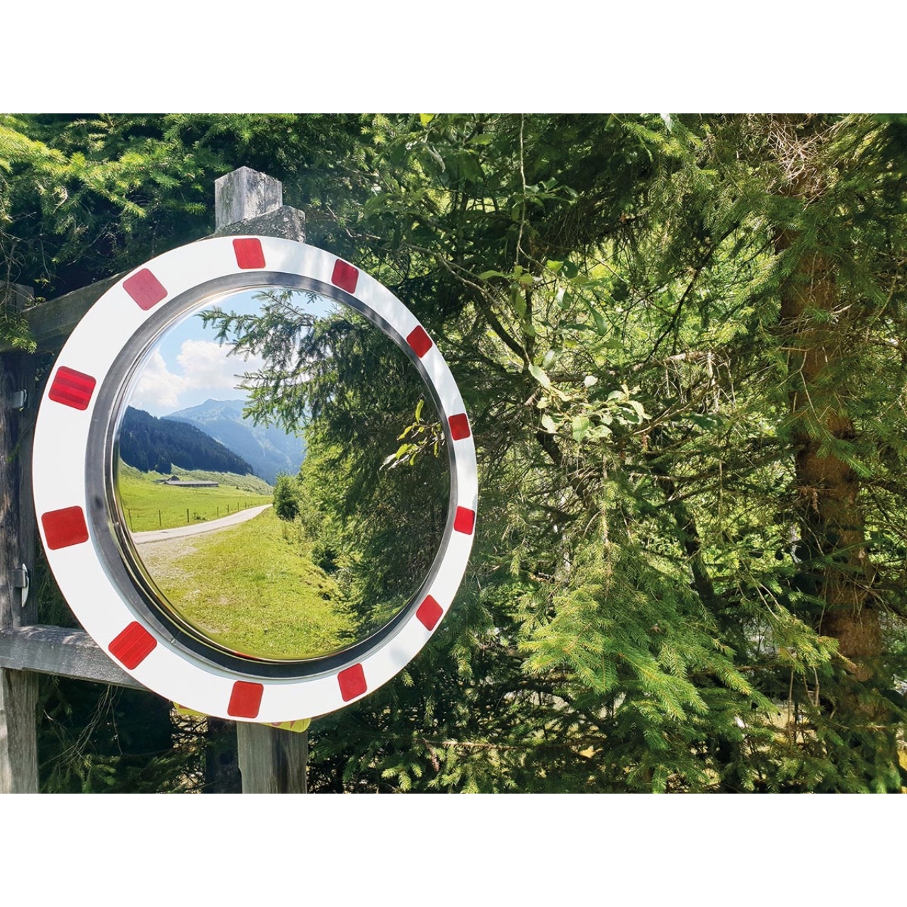 Lite Plus master.jpeg