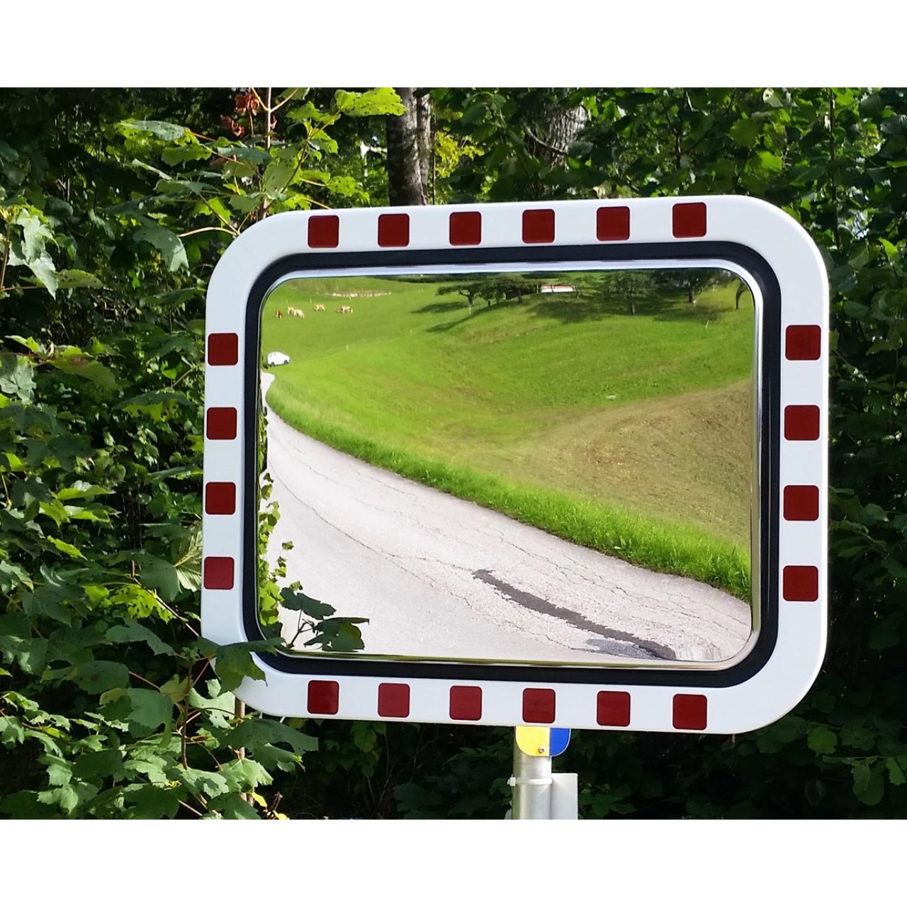 Basic Edelstahl Master.jpeg