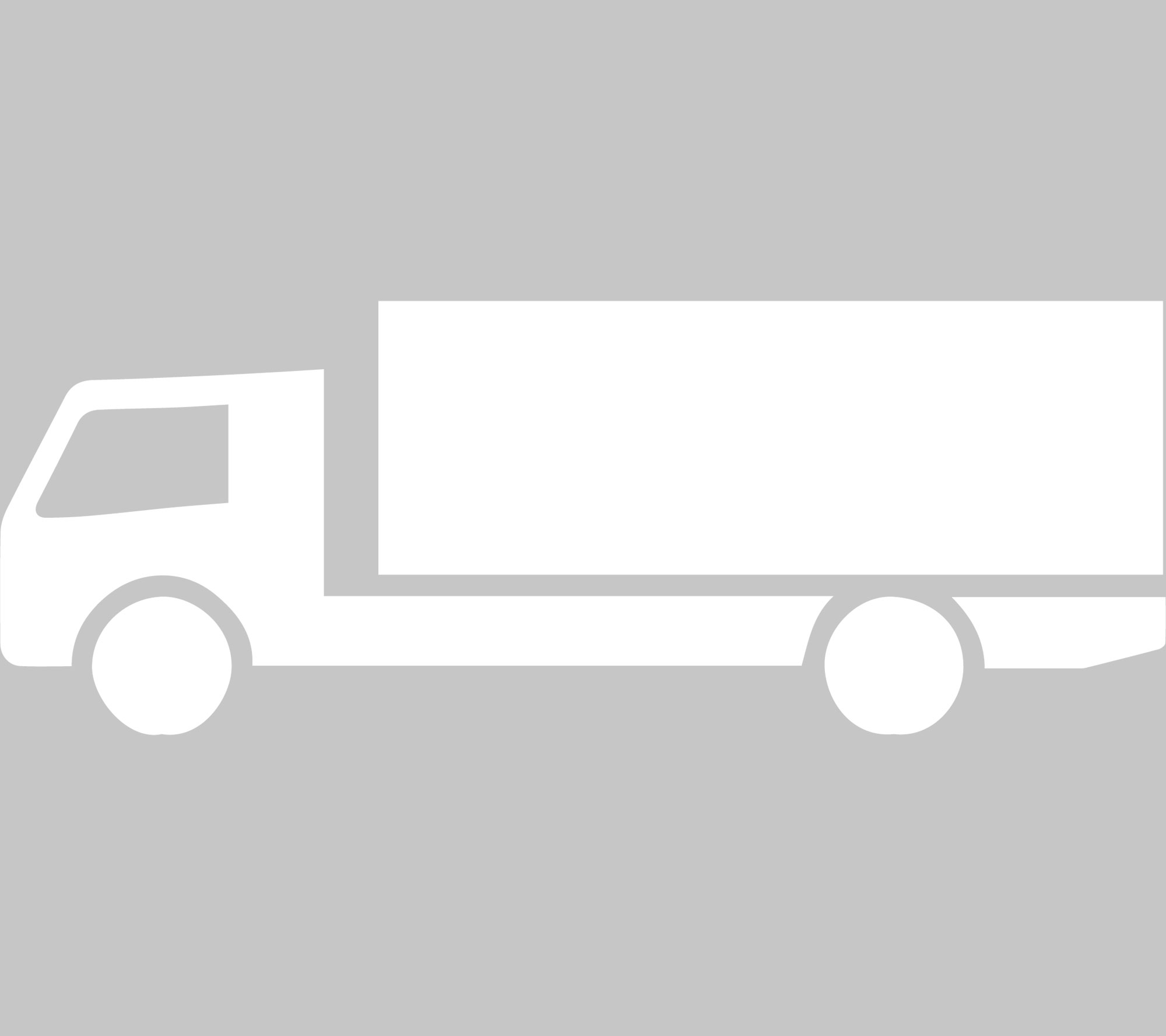 Markierungssymbol LKW, Größe: 750 x 2000 mm